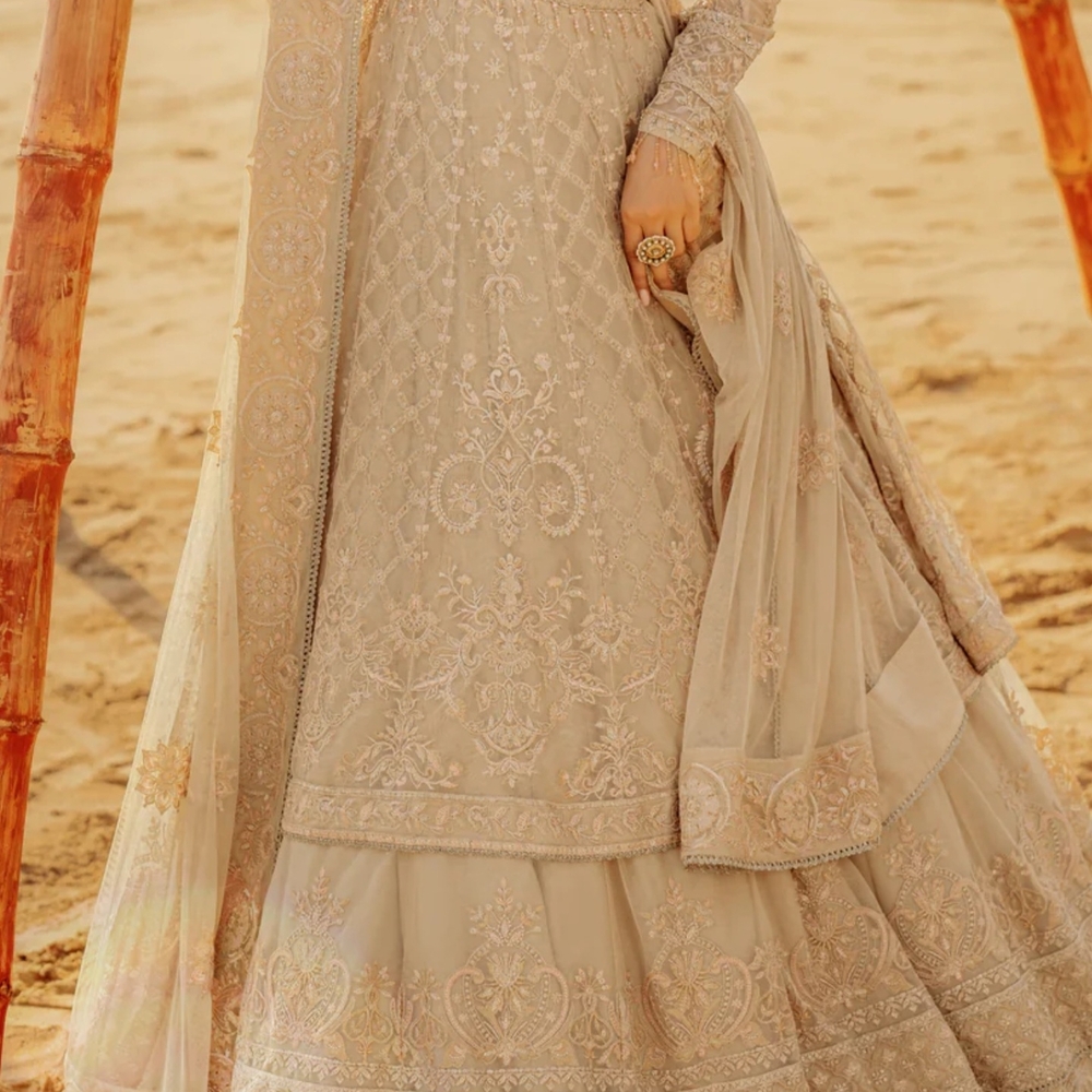 Pakistan formal gown /wedding dress